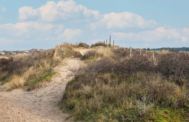 Relax in Your Holiday Home With Sauna, Near the Beach of Noordwijk - Foto 40