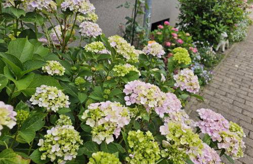 FeWo Monarchenhügel in Seenähe, Garten, Terrasse, Carport mit Wallbox - Foto 20