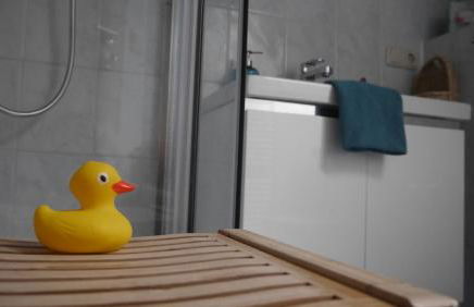 Ferienwohnung Kluge - Foto 11