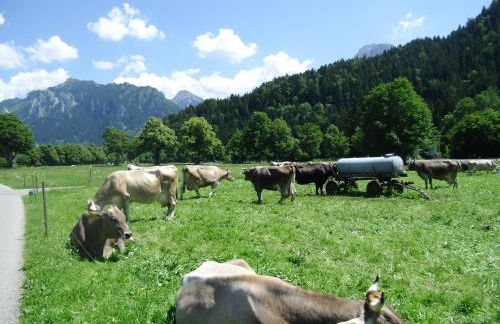 Casa Patrizia - Foto 17