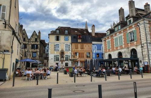 Maison avec jardin Auxerre - Foto 59