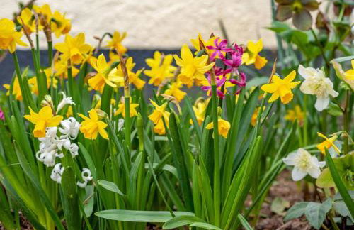 2 Bed in Umberleigh oc-86611 - Foto 18