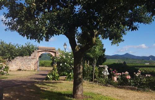 Domaine du Bouxhof - Foto 17