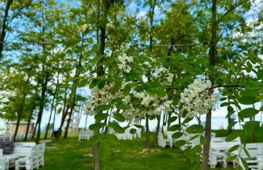 Razgledna Oaza-VIEW OASIS,Holiday Home on Mađerka Hill - Foto 27