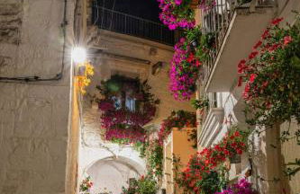 Eusebio's House - Foto 1