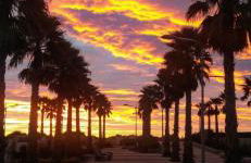 Appartement 6 couchages Marseillan Plage - Foto 1