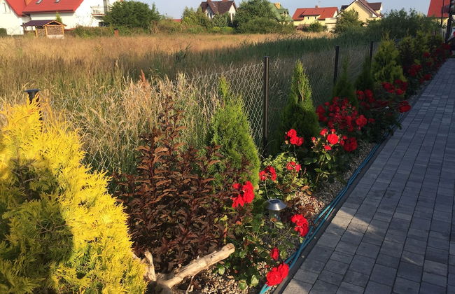 Domki Letniskowe Amelia - Foto 33