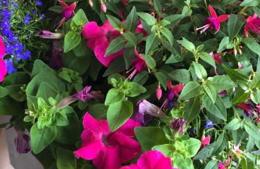 RLGuesthouses - Foto 10