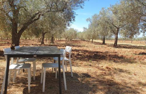 Olivea Luxury Suites - Foto 28