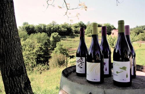 Agriturismo La Costa - Casa Vacanze - Foto 65