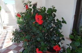 Apartments Antonio - Foto 113