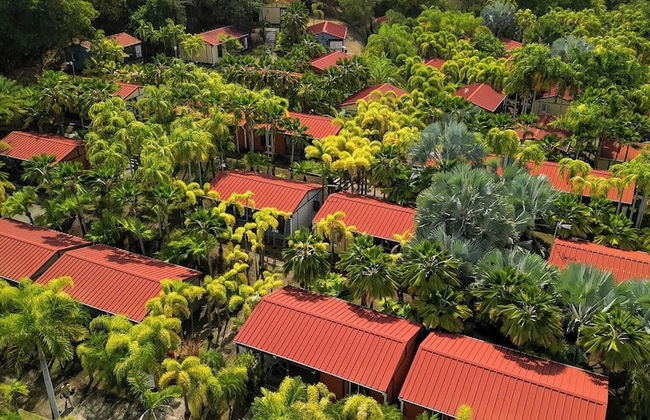 Le Village de la Pointe - Photo 54