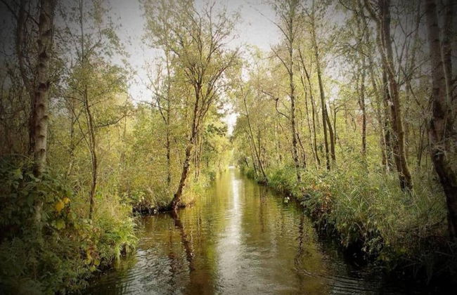 Spacious Chalet in a Rural Location Near Giethoorn - Photo 38