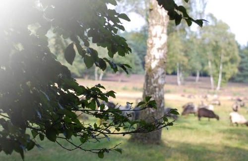 Heide Apartments - Foto 27