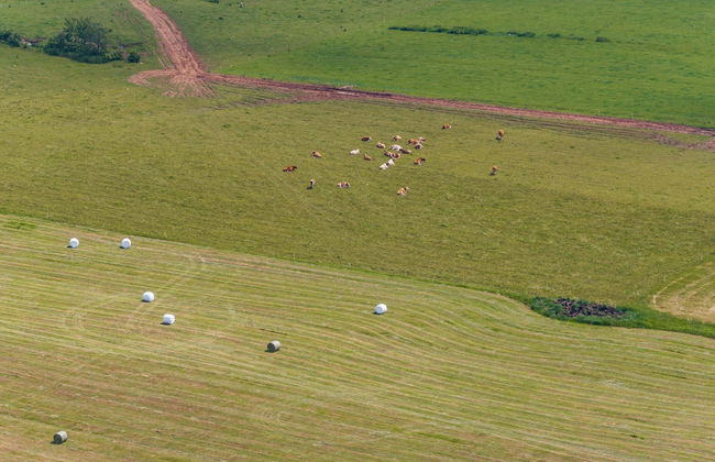 Rajska Polana - Foto 42