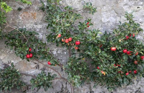 Whitecraigs - Photo 30