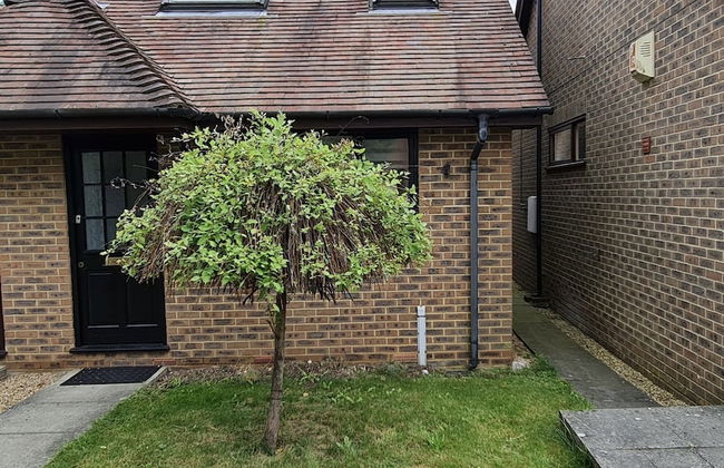 Grace Apartments - Living Stream 1 - Foto 28