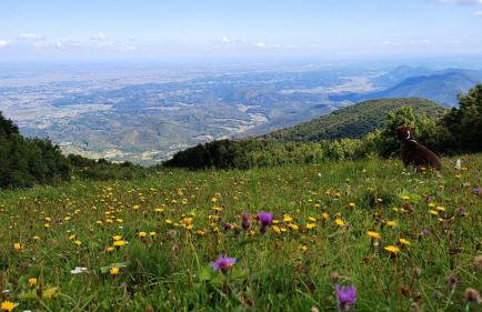 Apartment Barbara - Foto 27