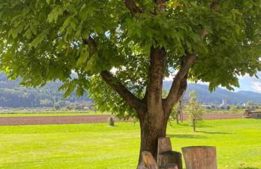 Ferienwohnung, Fischerbach im Kinzigtal - Foto 34