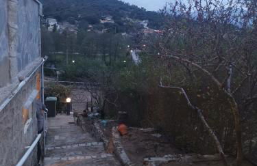 Los corzos - Photo 47