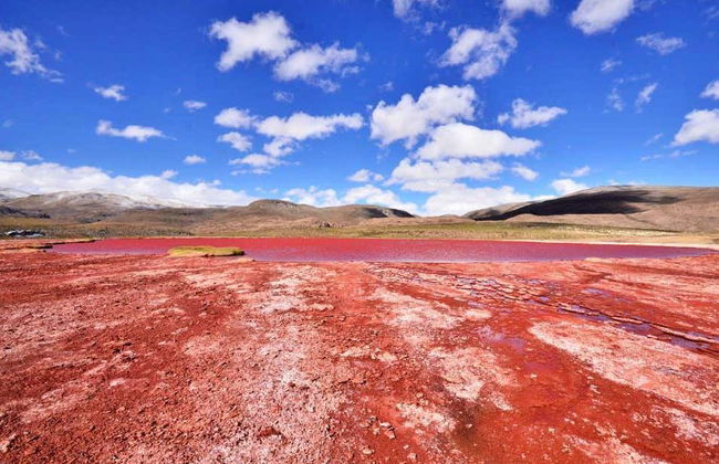 Excursão à lagoa Vermelha - Foto 2