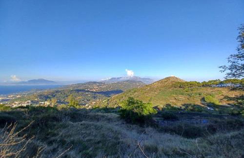 Rosa House - Foto 30