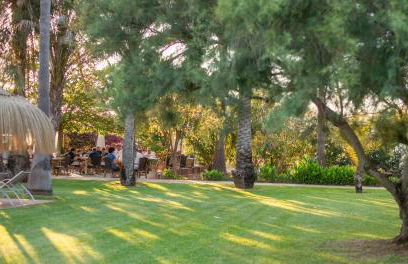 Finca Hotel Can Canals & Spa - Photo 46