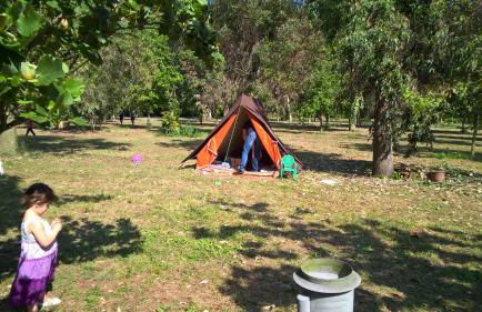 Agriturismo La Giannottola - Foto 62