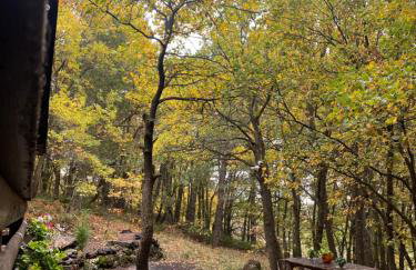 Woods Etna Chalet - Photo 44