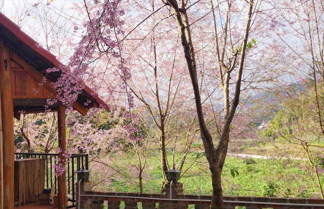 Farmstay Ban Bua - Foto 32