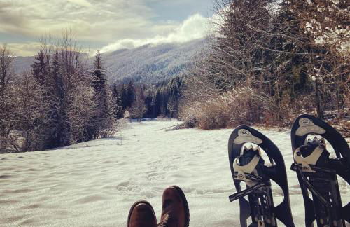 Le Chevreuil - Foto 6