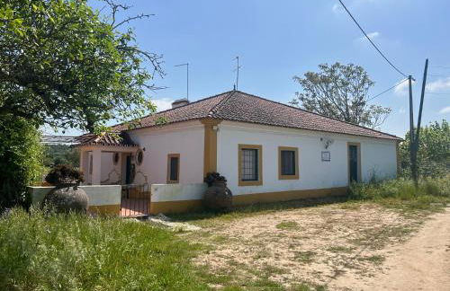 Qta Casa Seleiras - Guest House - Foto 68