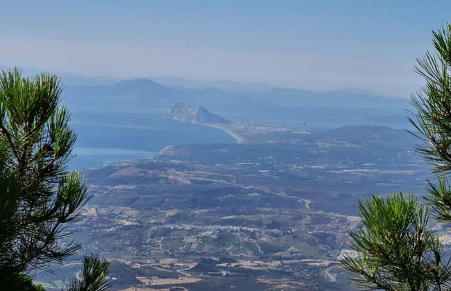 Randonnée dans la forêt de pins d'Estepona - Photo 2
