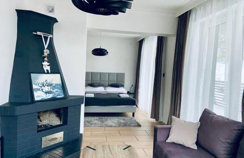 Villa Makuchówka - Foto 22