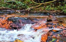 hotel fazenda ctk - Foto 16