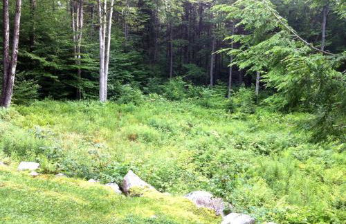 Spacious Mountain Cabin with a Sauna and Ski Trails in Jamaica, Vermont - Foto 14