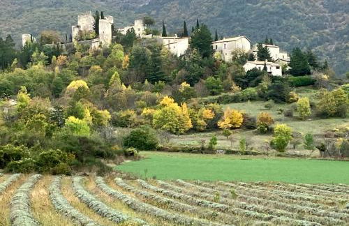 Chateau appartement tussen Mont Ventoux en Luberon - Foto 32