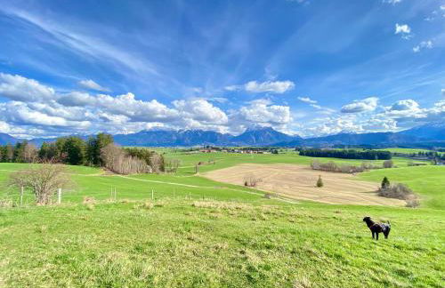 Best Butler Lovebirds I Küche I Parken I Bergblick I Seenähe - Photo 12