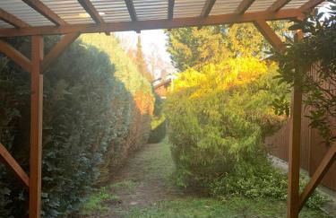 Gepflegtes-Ferienhaus-am-Dankernsee-Haren-Emsland - Photo 13