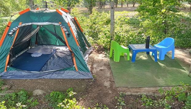 Backpackers Temple - Foto 3, Habitación