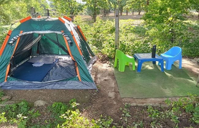 Backpackers Temple - Foto 3