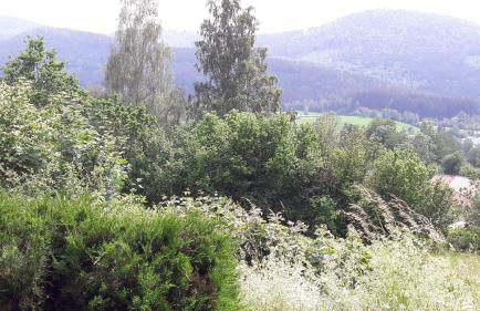 Fewo-Harlachberg-Blick-1 - Foto 16