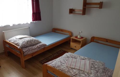 Newland Wójtowicz - Foto 38