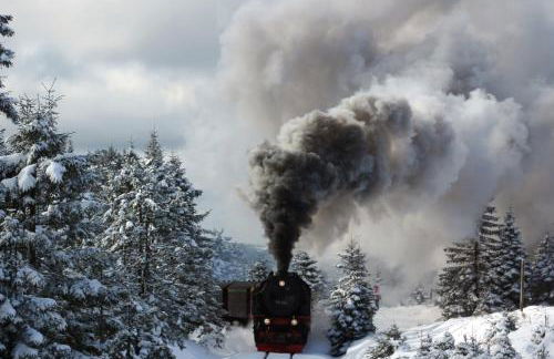 Schinkel Ferienunterkünfte Quedlinburg UNESCO Altstadt, Parkplatz inkl - Foto 31