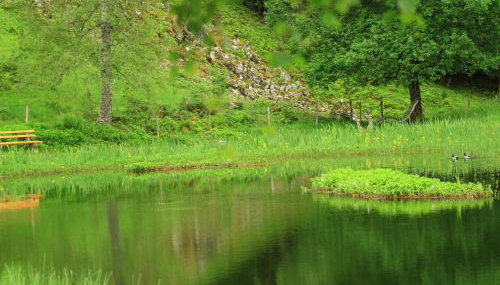 Fidelis-Bühl Muggenbrunn - Foto 4
