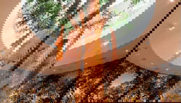 WOW Porto Ticket - Foto 4