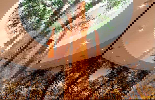 Entrada a un museo de WOW Porto - Foto 4