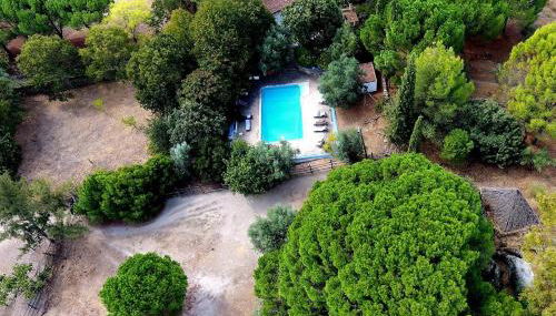 Tapada da Rabela - Reserva Natural - Foto 4