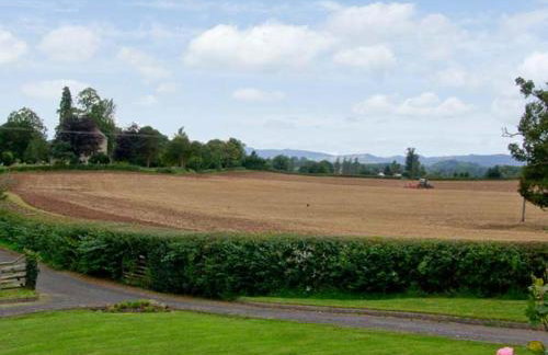 The Old Cider Mill - Photo 16