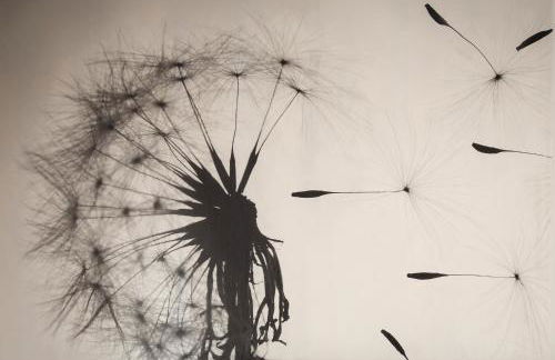 Deluxe Central Apartment - Photo 38